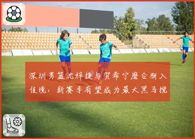 深圳男篮沈梓捷与贺希宁磨合渐入佳境,新赛季有望成为最大黑马搅局者