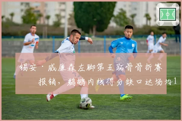 锡安·威廉森左脚第五跖骨骨折赛季报销,鹈鹕内线得分缺口达场均12.4分