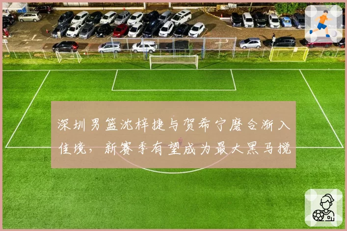 深圳男篮沈梓捷与贺希宁磨合渐入佳境,新赛季有望成为最大黑马搅局者